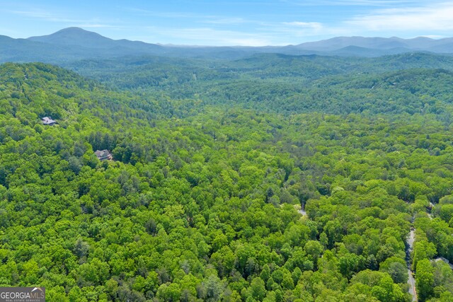 birds eye view of property featuring a view of trees and a mountain view