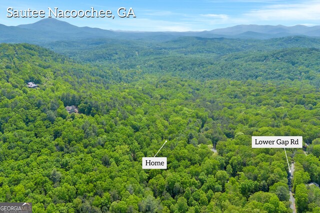 bird's eye view featuring a wooded view and a mountain view