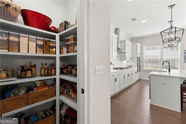 1074 Heyward Way, Alpharetta, GA 30009 - storage area featuring visible vents and a sink