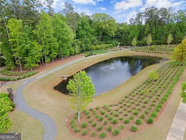 1074 Heyward Way, Alpharetta, GA 30009 - view of property's community featuring a water view