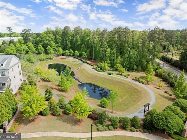 1074 Heyward Way, Alpharetta, GA 30009 - birds eye view of property featuring a water view