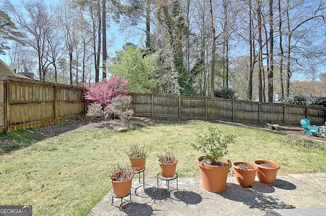 view of yard featuring a fenced backyard and a patio
