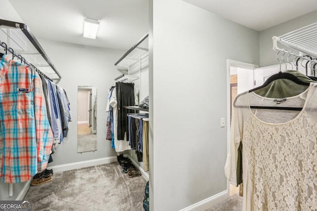 spacious closet featuring carpet floors
