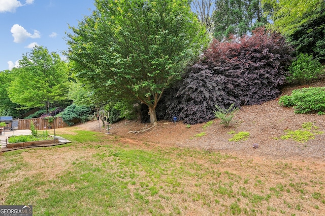 view of yard featuring fence and a vegetable garden