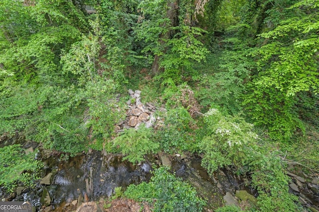 2551 Park Rd SE, Smyrna, GA 30080 - view of landscape featuring a view of trees