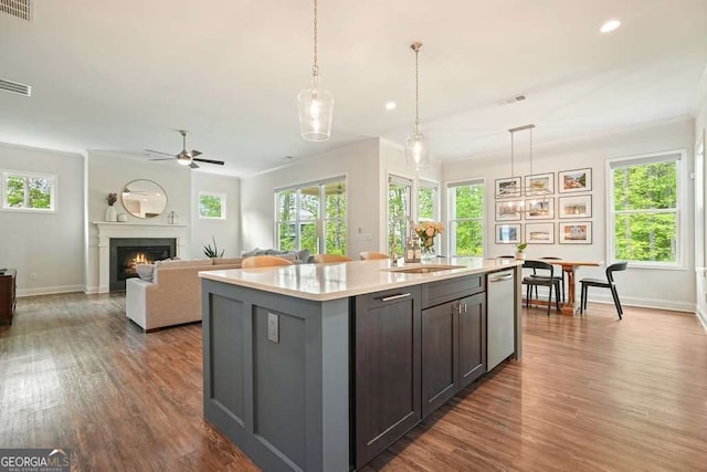 242 Fieldbrook Xing, Canton, GA 30115 - kitchen featuring stainless steel dishwasher, light countertops, dark wood-style flooring, and a healthy amount of sunlight