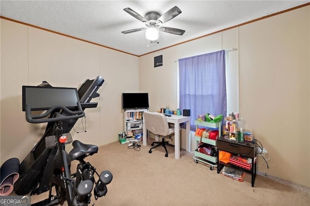 1575 Davis Rd W, Fairmount, GA 30139 - office space with crown molding, carpet, and ceiling fan