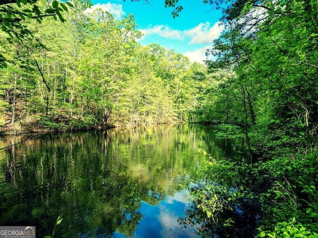 view of nature featuring a forest view and a water view