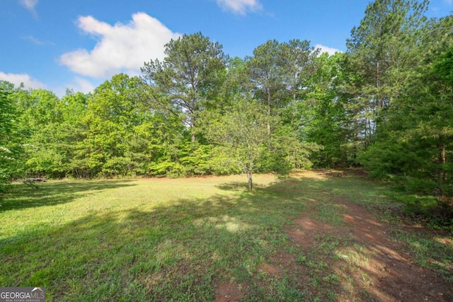 view of yard featuring a view of trees