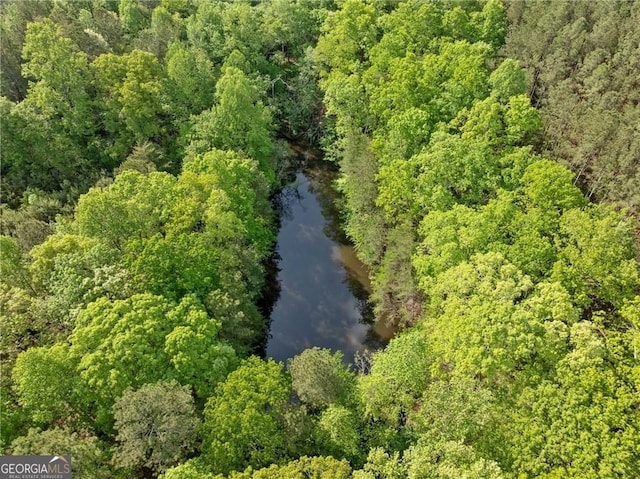 1575 Davis Rd W, Fairmount, GA 30139 - drone / aerial view of a heavily wooded area and a large body of water