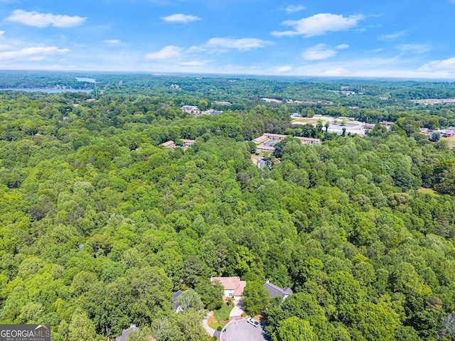 1536 Enota Ave NE, Gainesville, GA 30501 - aerial view of a heavily wooded area