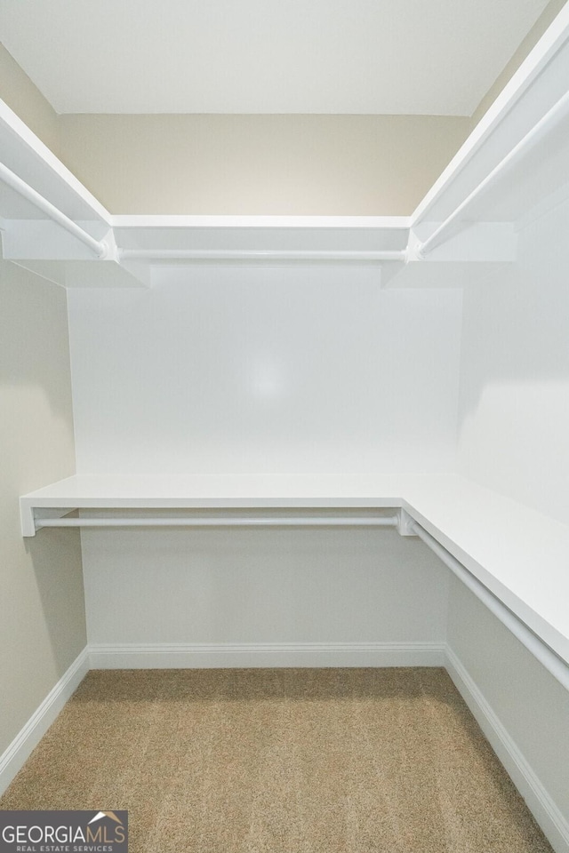 spacious closet featuring light carpet