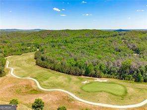 drone / aerial view featuring a view of trees and golf course view