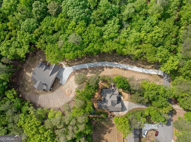 bird's eye view