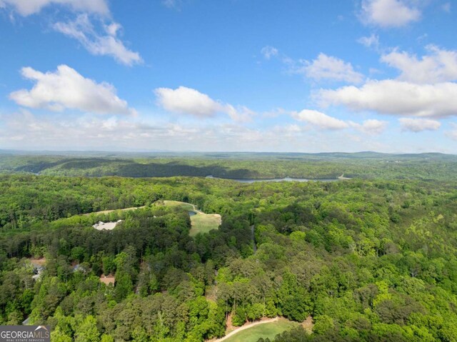 drone / aerial view featuring a wooded view