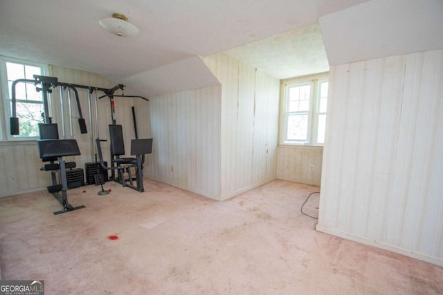 exercise area with carpet