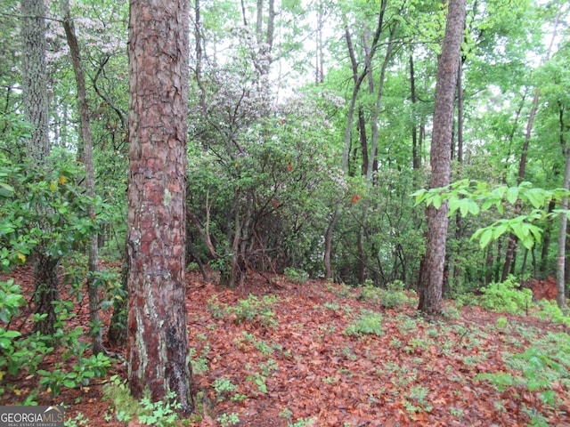 0 Spring Crest Rd, Cleveland, GA 30528