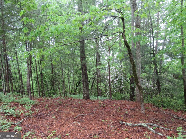 0 Spring Crest Rd, Cleveland, GA 30528