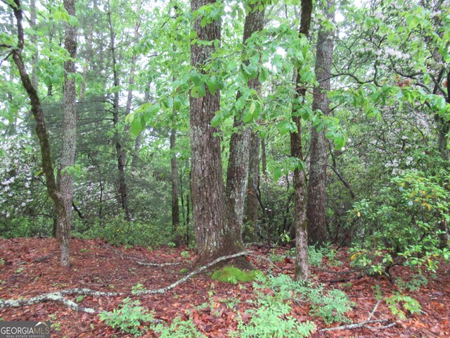 0 Spring Crest Rd, Cleveland, GA 30528