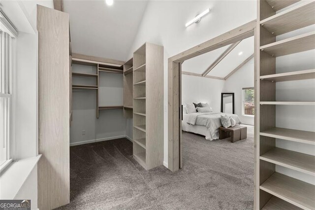 800 Breckinridge Rd SW, Marietta, GA 30064 - spacious closet featuring carpet flooring and lofted ceiling