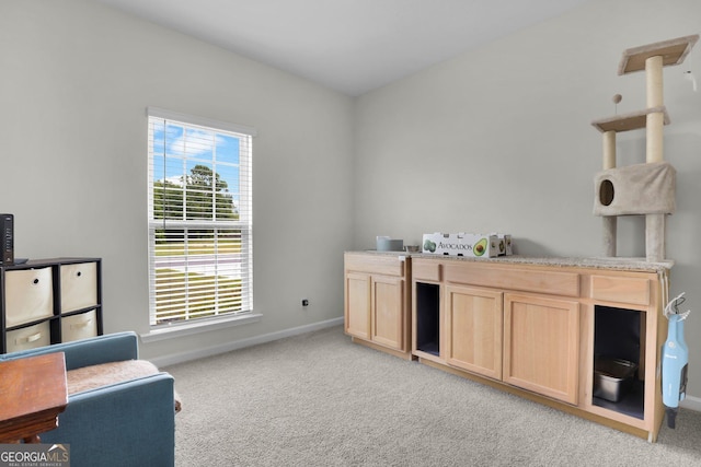 481 Akins Ranch Rd NE, Ludowici, GA 31316 - interior space with baseboards and light carpet
