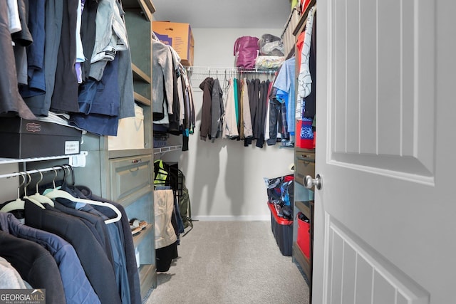 481 Akins Ranch Rd NE, Ludowici, GA 31316 - walk in closet with carpet flooring