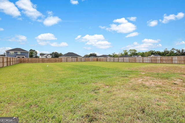 481 Akins Ranch Rd NE, Ludowici, GA 31316 - view of yard with a fenced backyard
