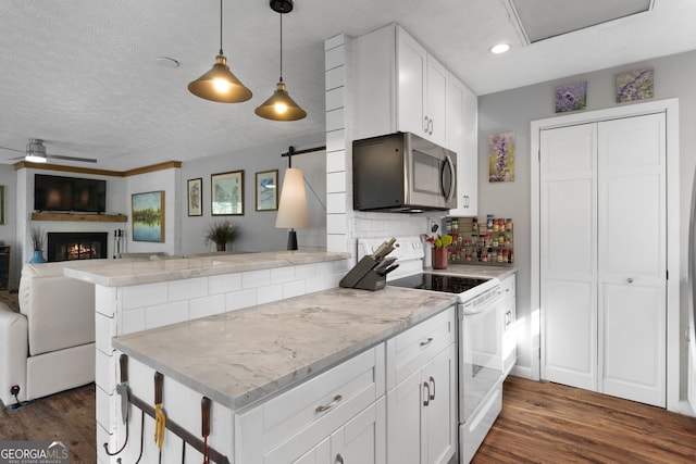 175 Mayo Rd, Covington, GA 30014 - kitchen featuring electric stove, stainless steel microwave, dark wood-style floors, and a barn door