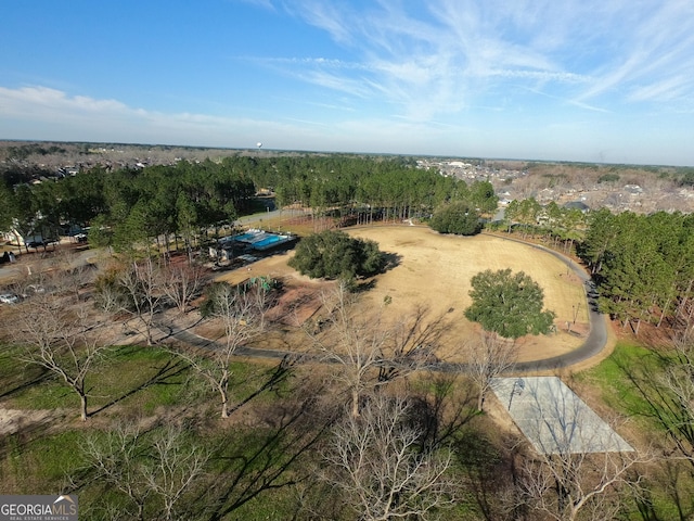 4577 San Saba Dr, Hahira, GA 31632 - bird's eye view
