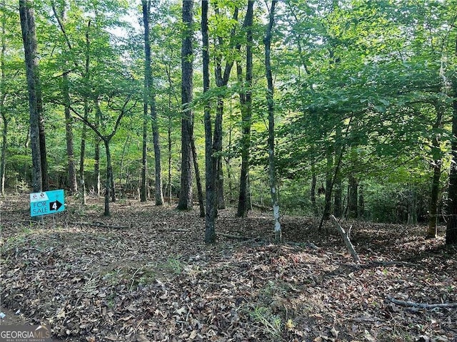 05 Kate Rd, Dahlonega, GA 30533