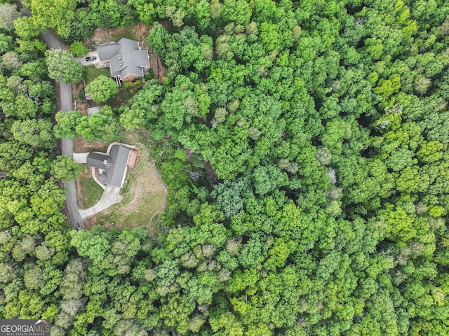 205 Crooked Pine Trl, Baldwin, GA 30511 - birds eye view of property