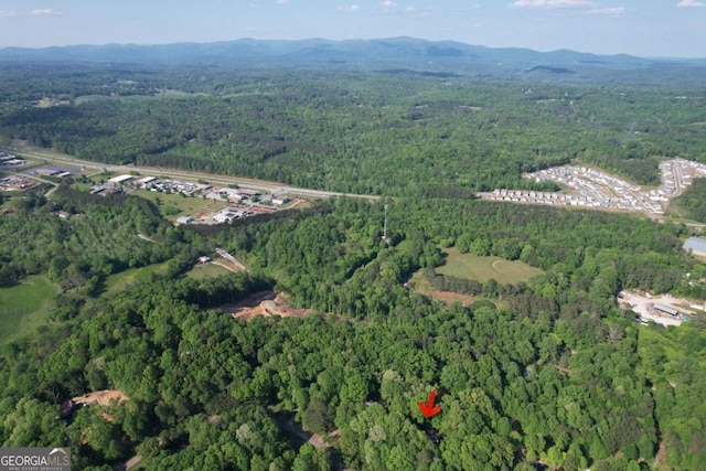 196 W Creekview Dr, Jasper, GA 30143 - drone / aerial view featuring a mountain view and a forest view