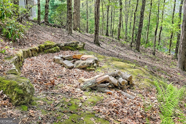 view of local wilderness with a view of trees