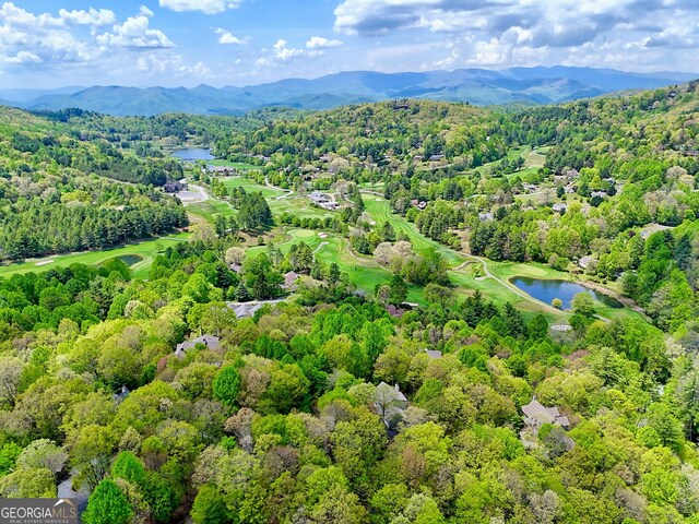 birds eye view of property featuring a water and mountain view and a wooded view