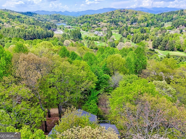 birds eye view of property with a forest view and a mountain view