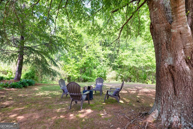 view of yard featuring a forest view
