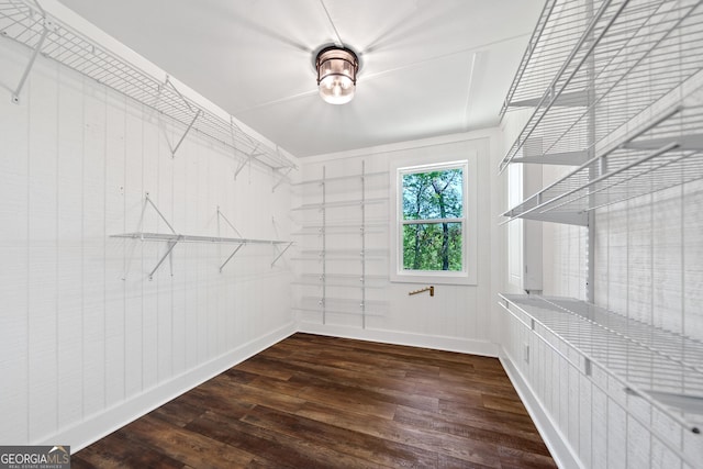 spacious closet with dark wood-style flooring
