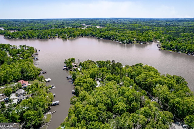 drone / aerial view with a forest view and a water view
