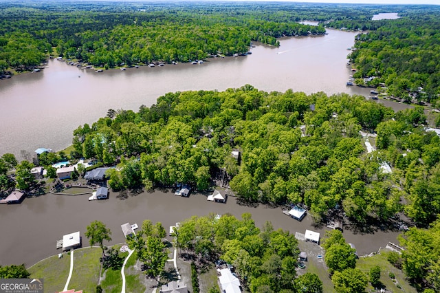 birds eye view of property featuring a water view and a view of trees