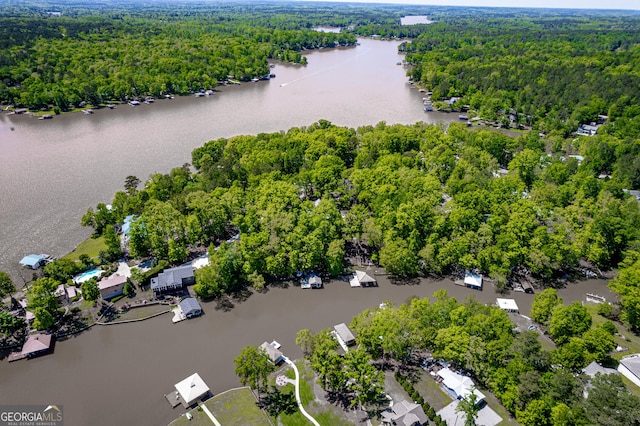 bird's eye view with a water view and a forest view