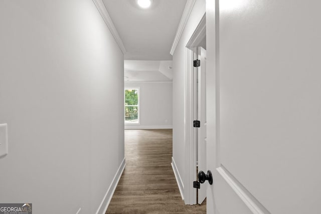 3261 Broadnax Mill Rd Unit 2, Loganville, GA 30052 - hall with crown molding, baseboards, and dark wood finished floors
