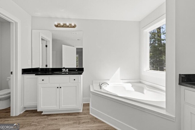 3261 Broadnax Mill Rd Unit 2, Loganville, GA 30052 - bathroom with vanity, a garden tub, toilet, and wood finished floors