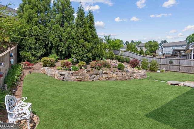 4207 N Carver Dr, Atlanta, GA 30360 - view of yard
