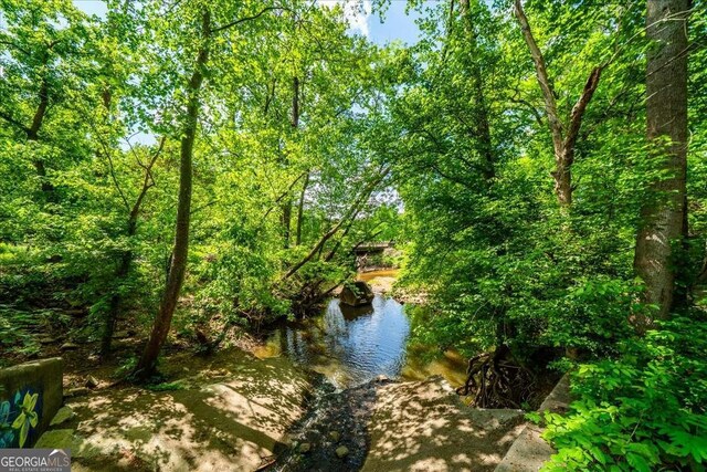 331 Lakemoore Dr NE Unit C, Atlanta, GA 30342 - property view of water
