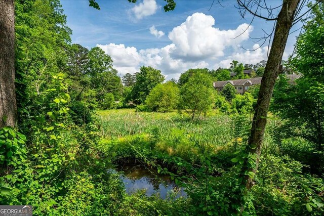 331 Lakemoore Dr NE Unit C, Atlanta, GA 30342 - view of local wilderness