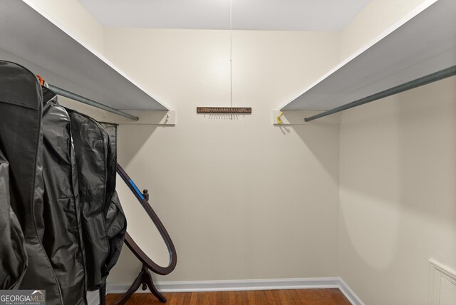 spacious closet featuring wood finished floors