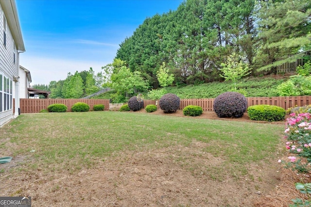view of yard