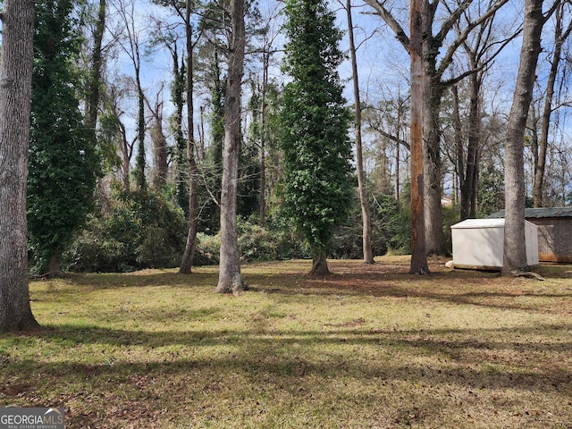 view of yard with an outbuilding and a storage unit