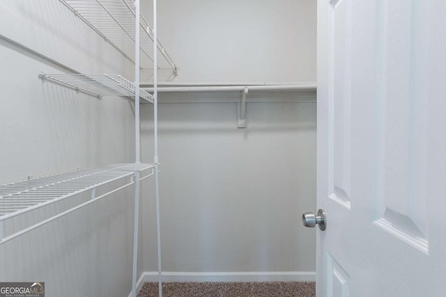 5028 Nichols Dr, Flowery Branch, GA 30542 - spacious closet with carpet