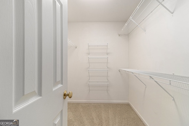 139 Ardsley Run, Canton, GA 30115 - spacious closet featuring carpet flooring